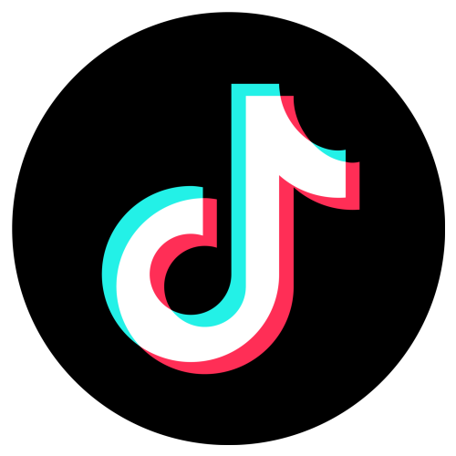 Tiktok icon